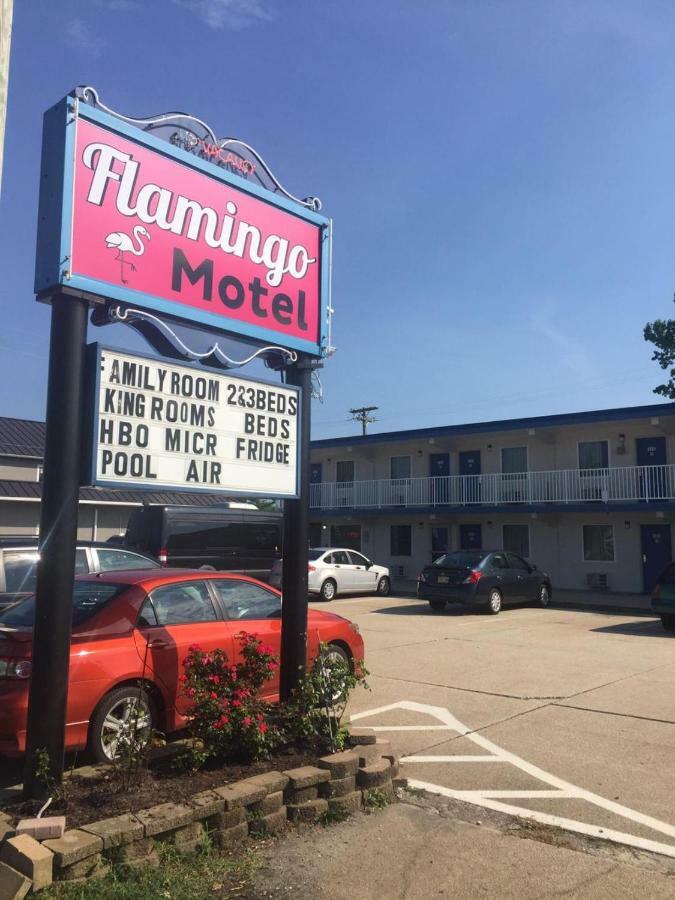 ריו גראנדה Flamingo Motel מראה חיצוני תמונה